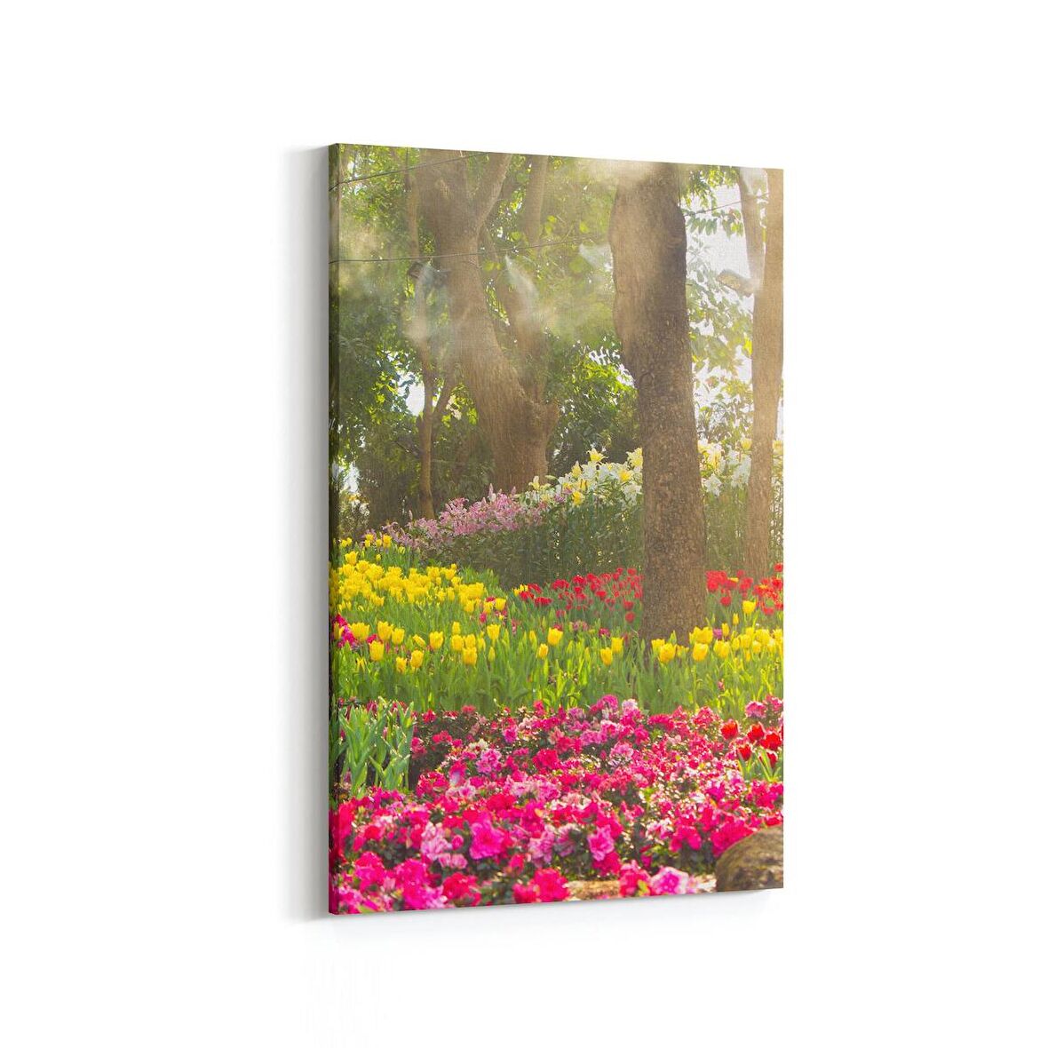 Olla 13942D Doğa / Manzara Görseli Dikey Kanvas Tablo (Ölçü: 100X150)