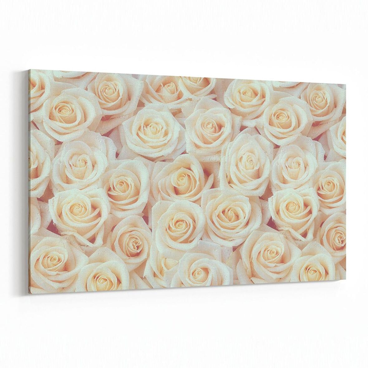 Olla 11632Y Çiçek Görseli Yatay Kanvas Tablo (Ölçü: 150X100)