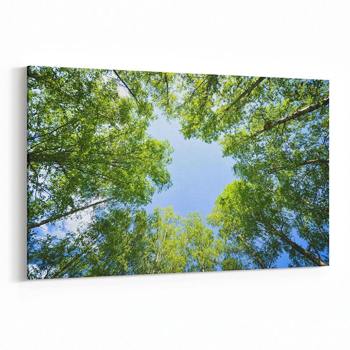 Olla 10993Y Ağaç Görseli Yatay Kanvas Tablo (Ölçü: 30X20)