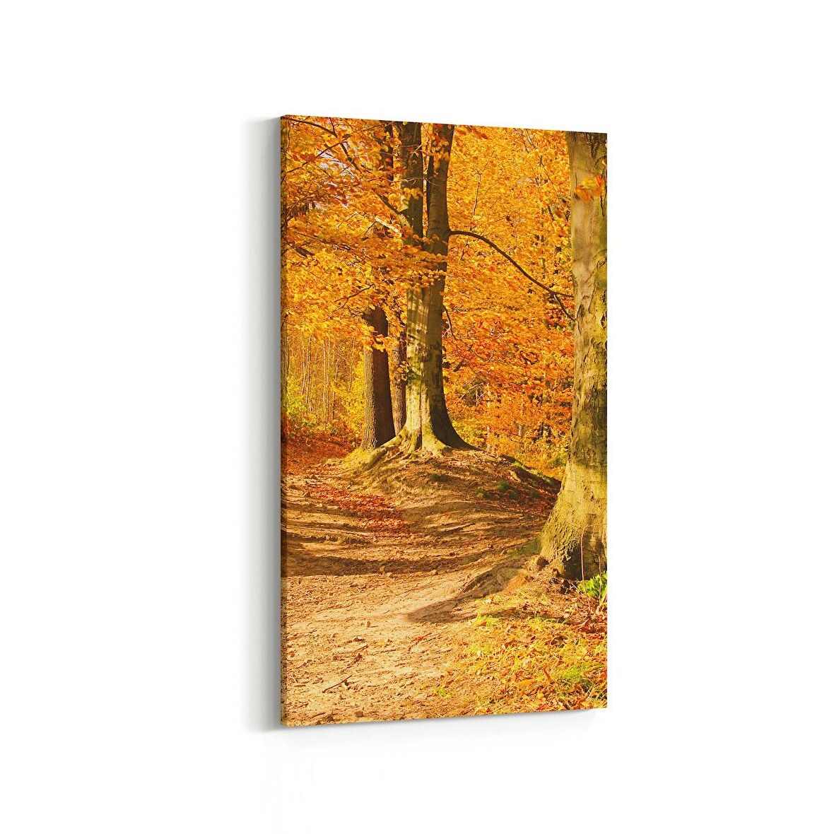 Olla 14344DD Doğa / Manzara Görseli Dikey Dar Kanvas Tablo (Ölçü: 60X120)