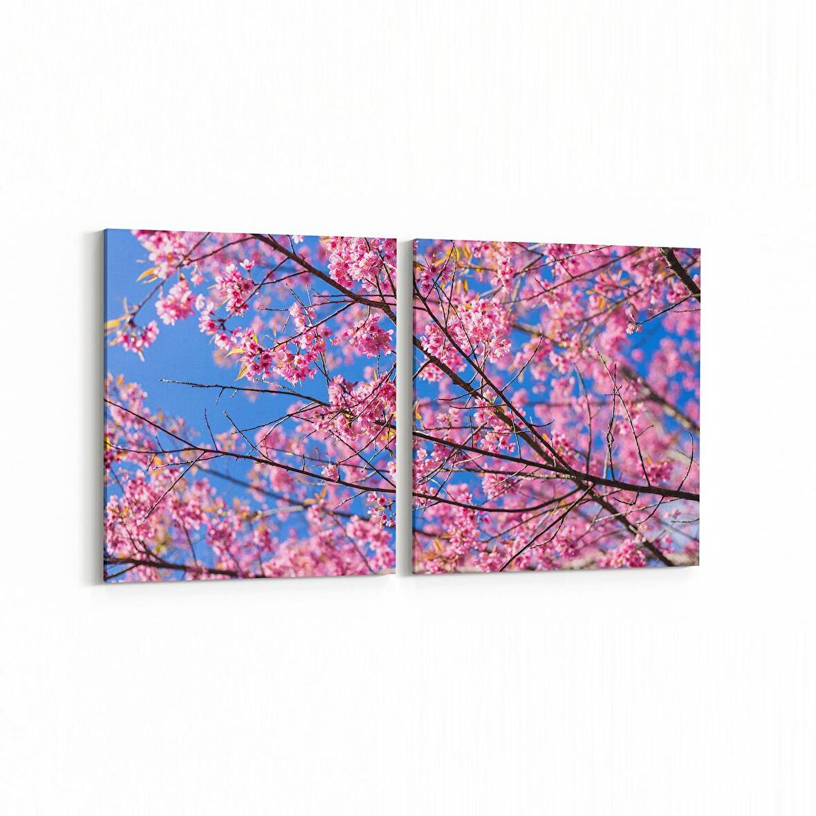 Olla 10823K2Y Ağaç Görseli Kare 2'li Yatay Kanvas Tablo (Ölçü: 125X60)