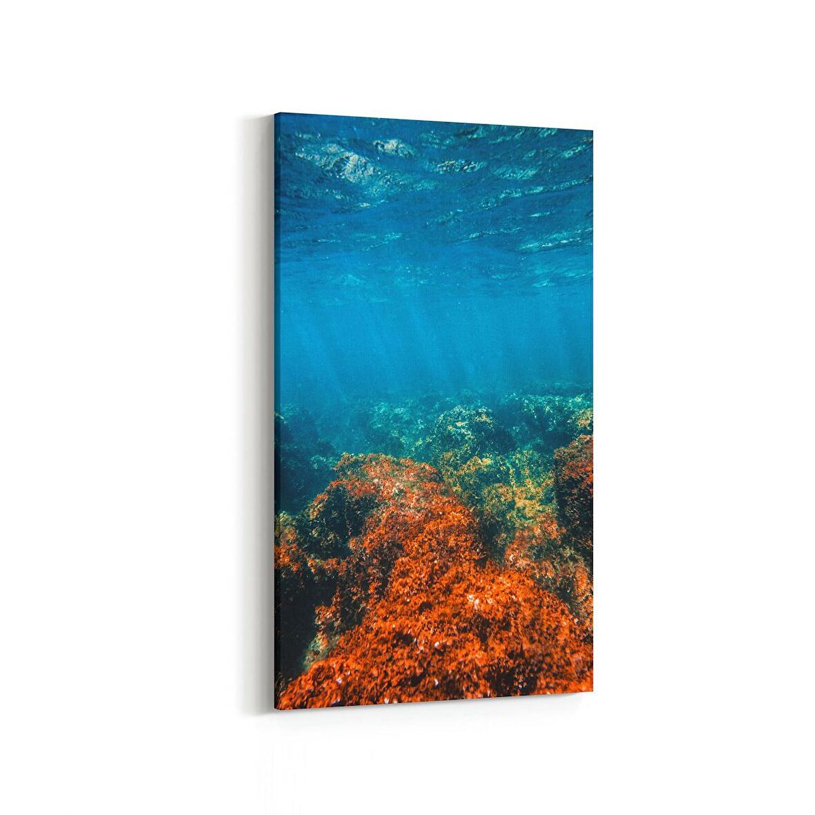 Olla 12874DD Deniz / Okyanus Görseli Dikey Dar Kanvas Tablo (Ölçü: 30X60)