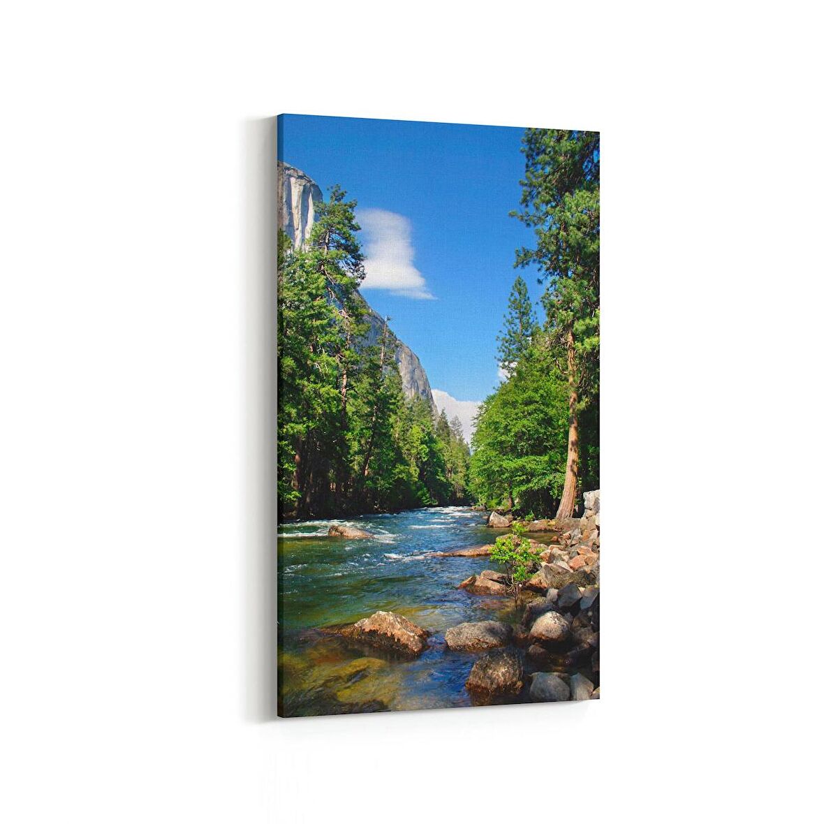 Olla 13641DD Doğa / Manzara Görseli Dikey Dar Kanvas Tablo (Ölçü: 40X80)