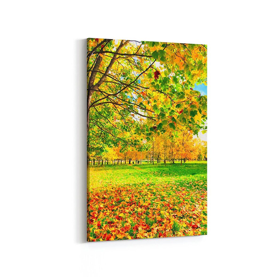 Olla 13174D Doğa / Manzara Görseli Dikey Kanvas Tablo (Ölçü: 100X150)