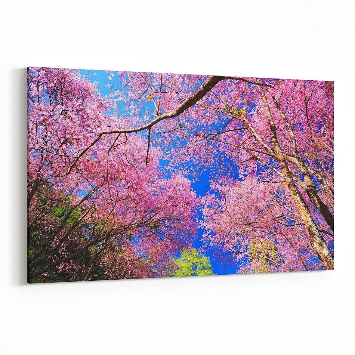 Olla 10587Y Ağaç Görseli Yatay Kanvas Tablo (Ölçü: 45X30)