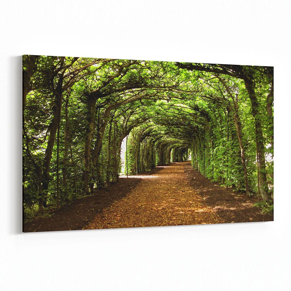 Olla 14625Y Doğa / Manzara Görseli Yatay Kanvas Tablo (Ölçü: 30X20)