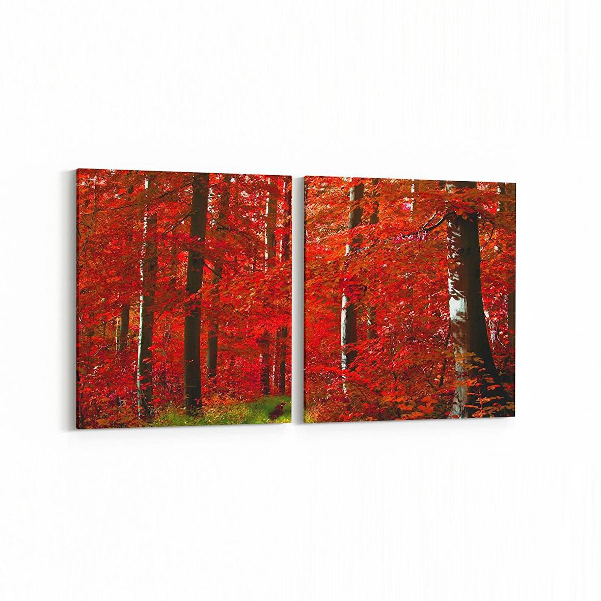 Olla 14592K2Y Doğa / Manzara Görseli Kare 2'li Yatay Kanvas Tablo (Ölçü: 65X30)