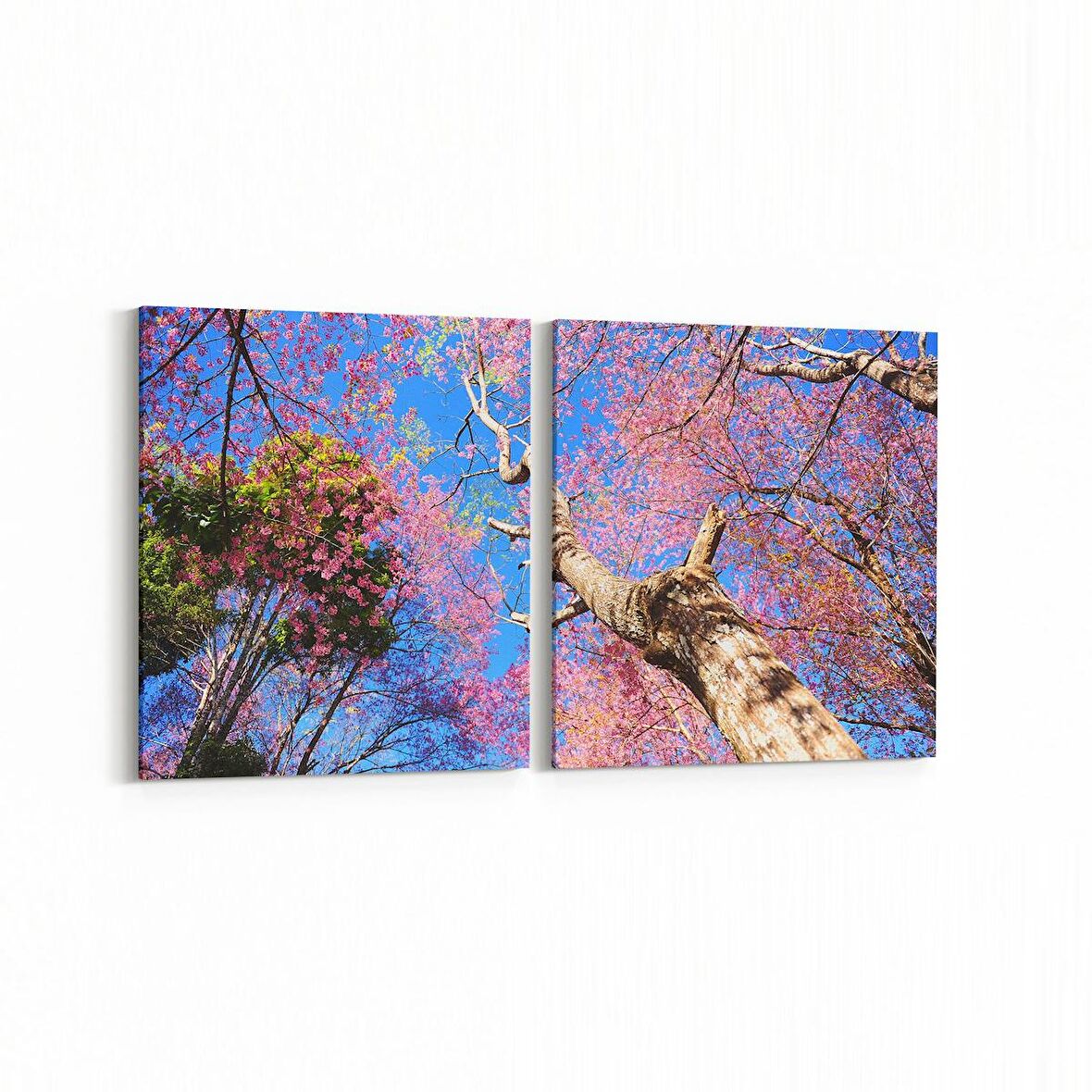 Olla 11047K2Y Ağaç Görseli Kare 2'li Yatay Kanvas Tablo (Ölçü: 85X40)