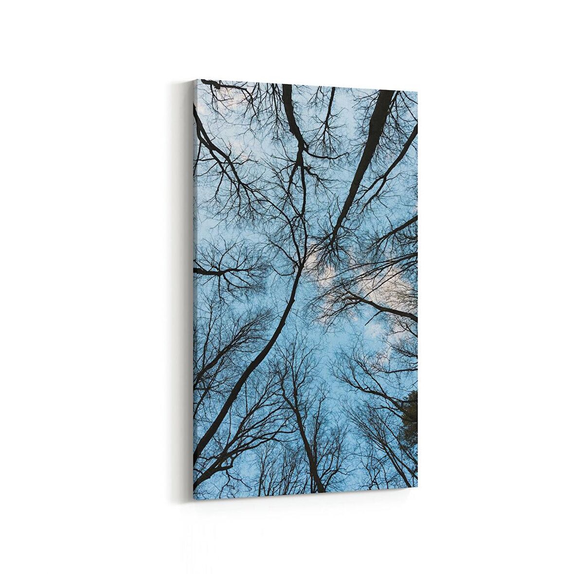Olla 10863DD Ağaç Görseli Dikey Dar Kanvas Tablo (Ölçü: 40X80)