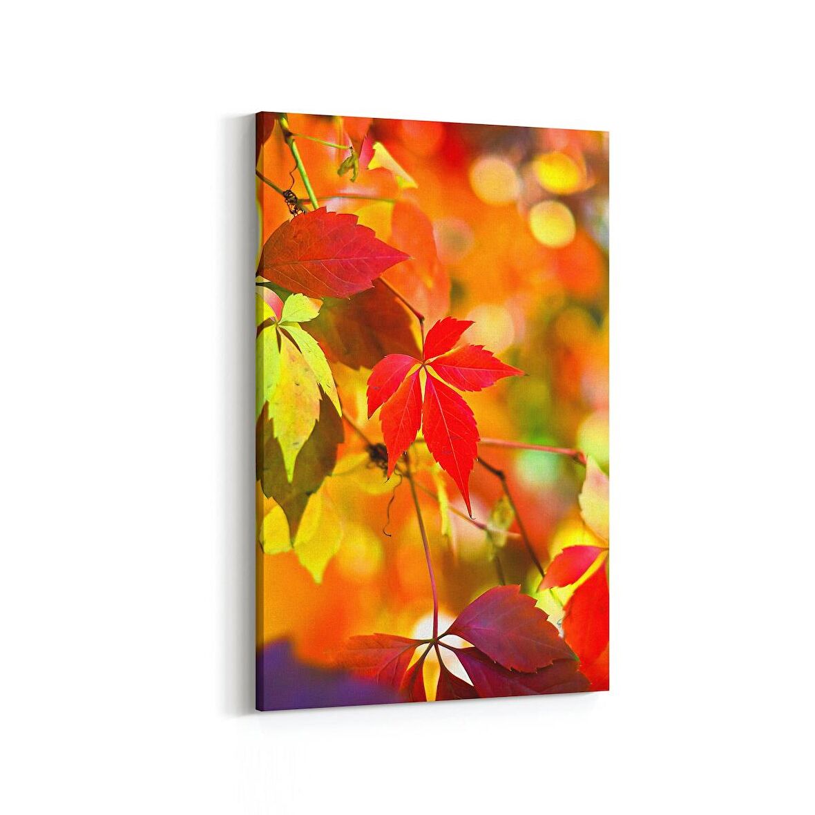 Olla 10479D Ağaç Görseli Dikey Kanvas Tablo (Ölçü: 20X30)