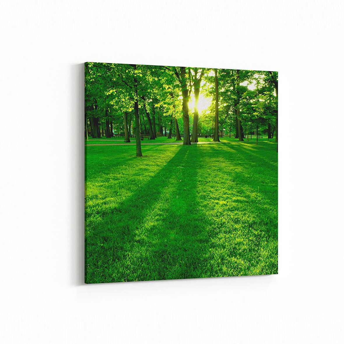 Olla 13929K Doğa / Manzara Görseli Kare Kanvas Tablo (Ölçü: 25X25)