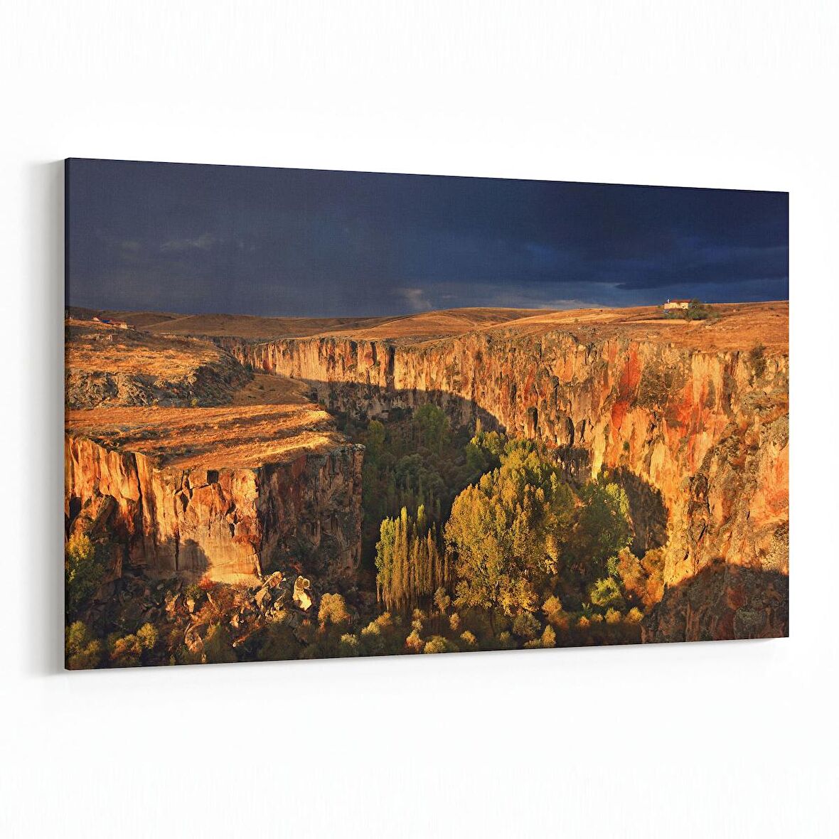 Olla 14474Y Doğa / Manzara Görseli Yatay Kanvas Tablo (Ölçü: 45X30)