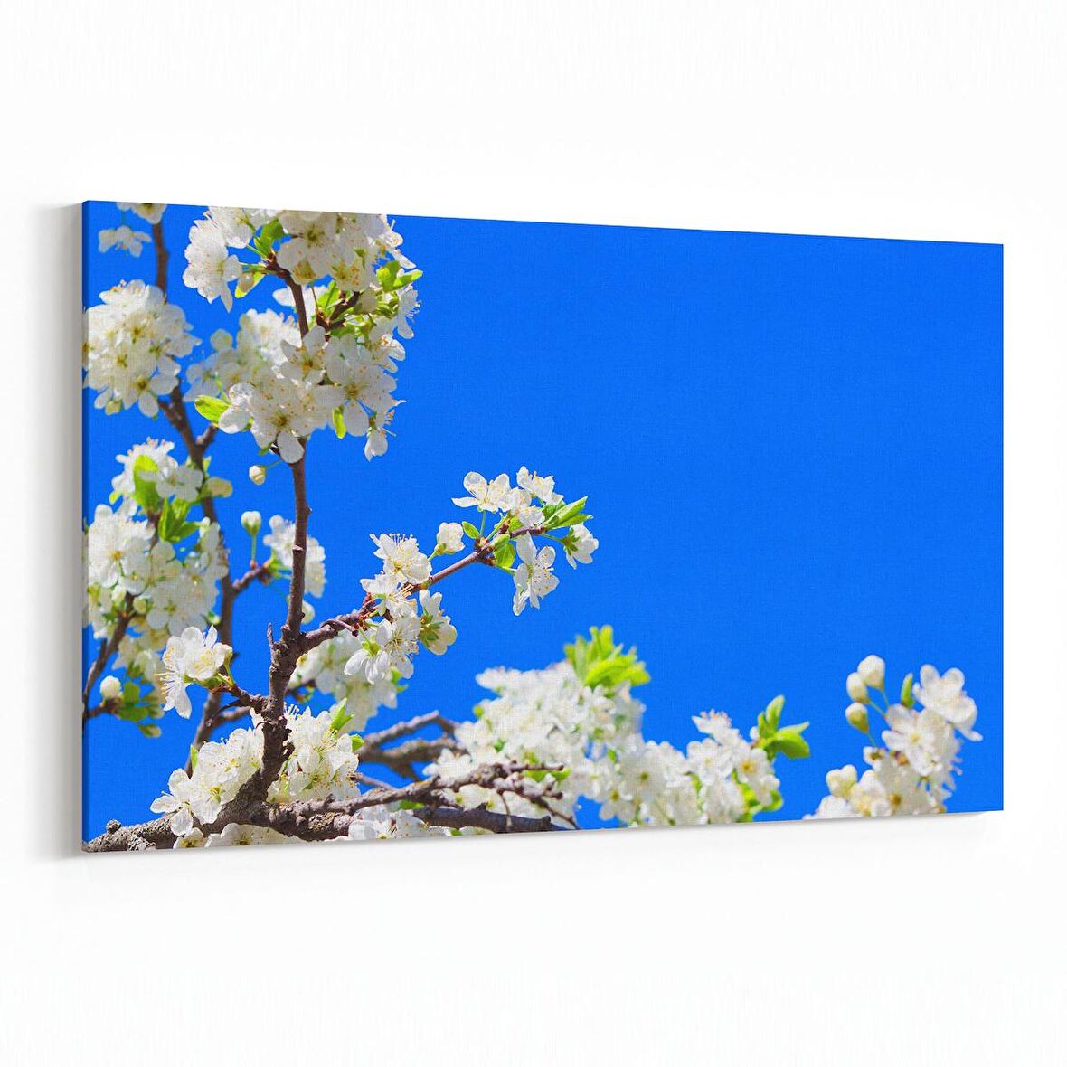 Olla 10878Y Ağaç Görseli Yatay Kanvas Tablo (Ölçü: 45X30)