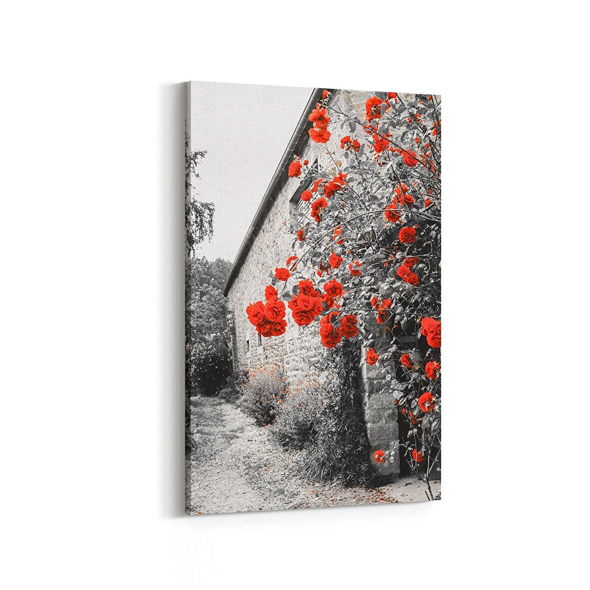 Olla 18308D Yapı Görseli Dikey Kanvas Tablo (Ölçü: 60X90)