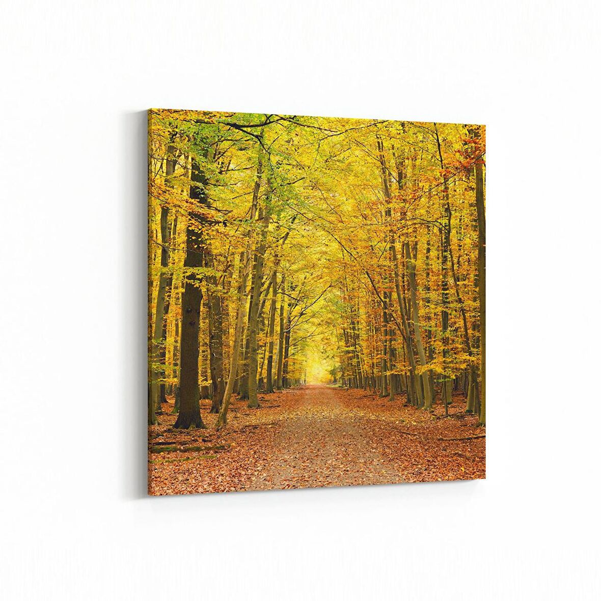 Olla 14251K Doğa / Manzara Görseli Kare Kanvas Tablo (Ölçü: 25X25)