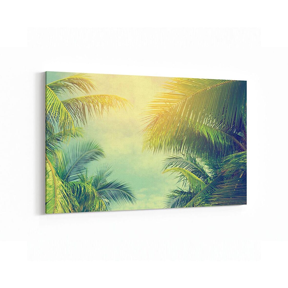 Olla 11531Y Palmiye Ağacı Görseli Yatay Kanvas Tablo (Ölçü: 90X60)