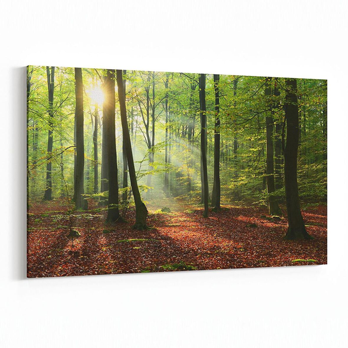 Olla 14355Y Doğa / Manzara Görseli Yatay Kanvas Tablo (Ölçü: 90X60)