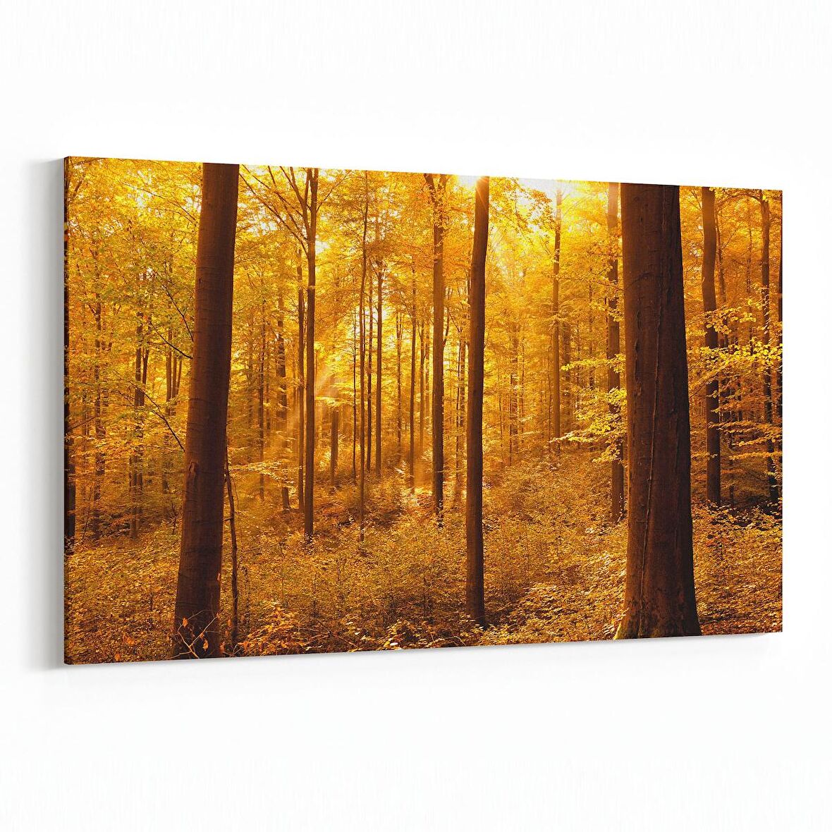 Olla 14337Y Doğa / Manzara Görseli Yatay Kanvas Tablo (Ölçü: 150X100)