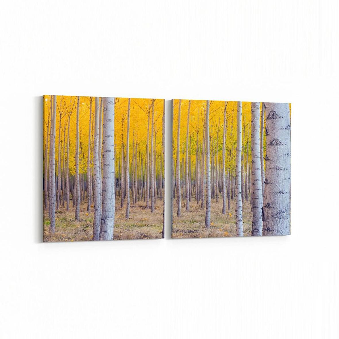 Olla 13227K2Y Doğa / Manzara Görseli Kare 2'li Yatay Kanvas Tablo (Ölçü: 145X70)