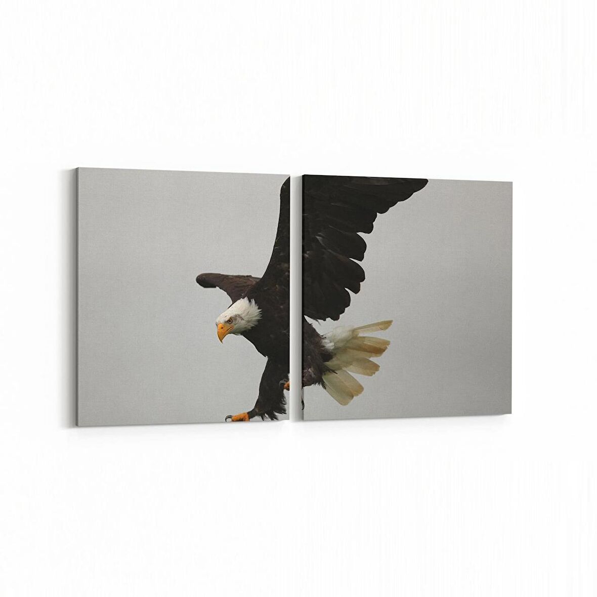 Olla 12526K2Y Hayvanlar Alemi Görseli Kare 2'li Yatay Kanvas Tablo (Ölçü: 85X40)