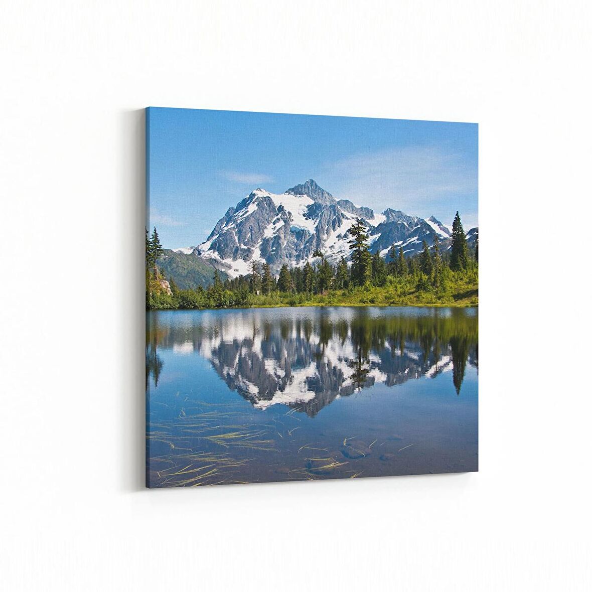 Olla 14100K Doğa / Manzara Görseli Kare Kanvas Tablo (Ölçü: 25X25)