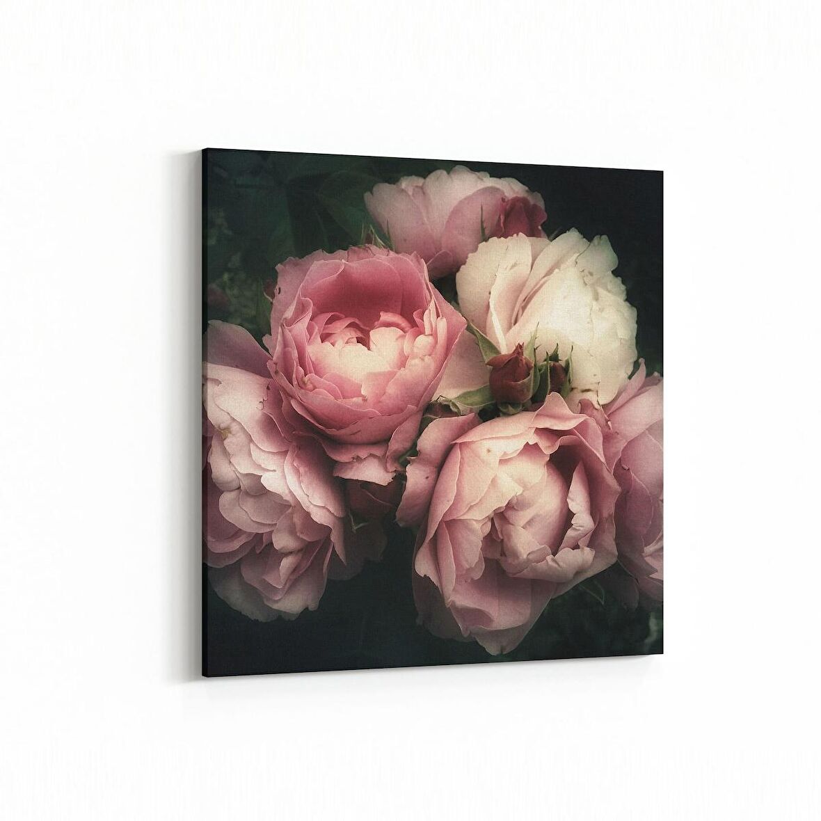 Olla 11779K Çiçek Görseli Kare Kanvas Tablo (Ölçü: 100X100)