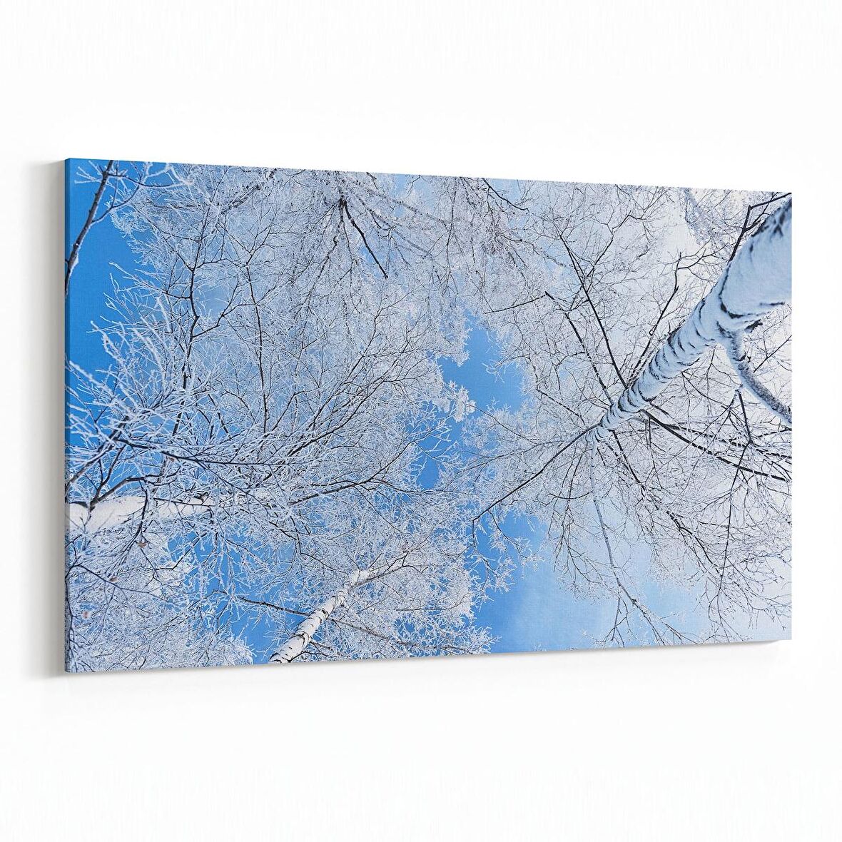 Olla 10623Y Ağaç Görseli Yatay Kanvas Tablo (Ölçü: 150X100)