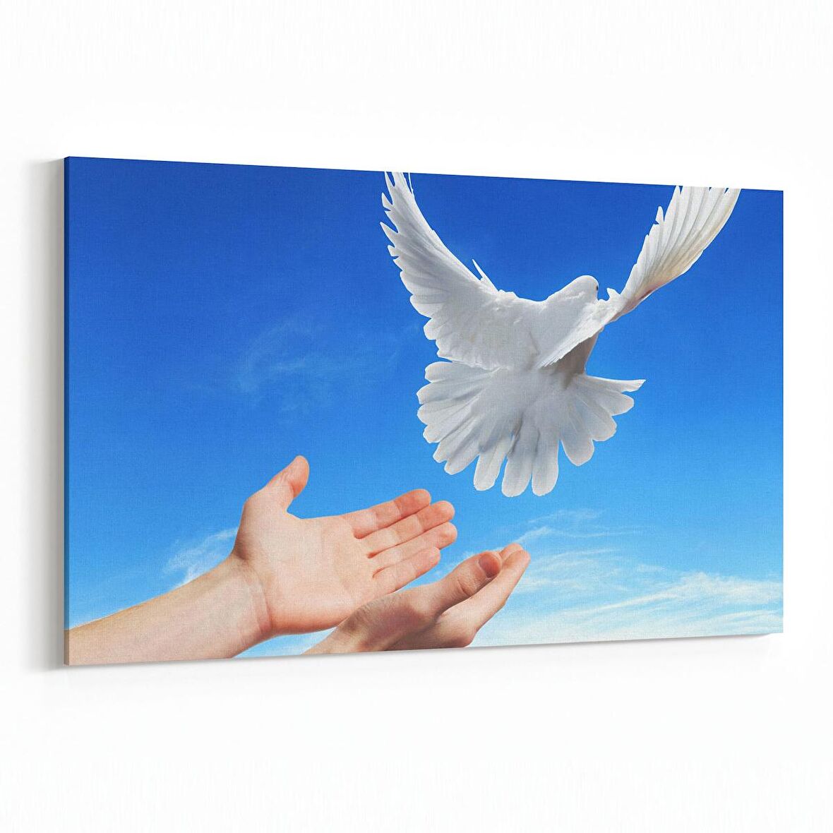 Olla 15891Y Gökyüzü Kuşlar Görseli Yatay Kanvas Tablo (Ölçü: 70X50)