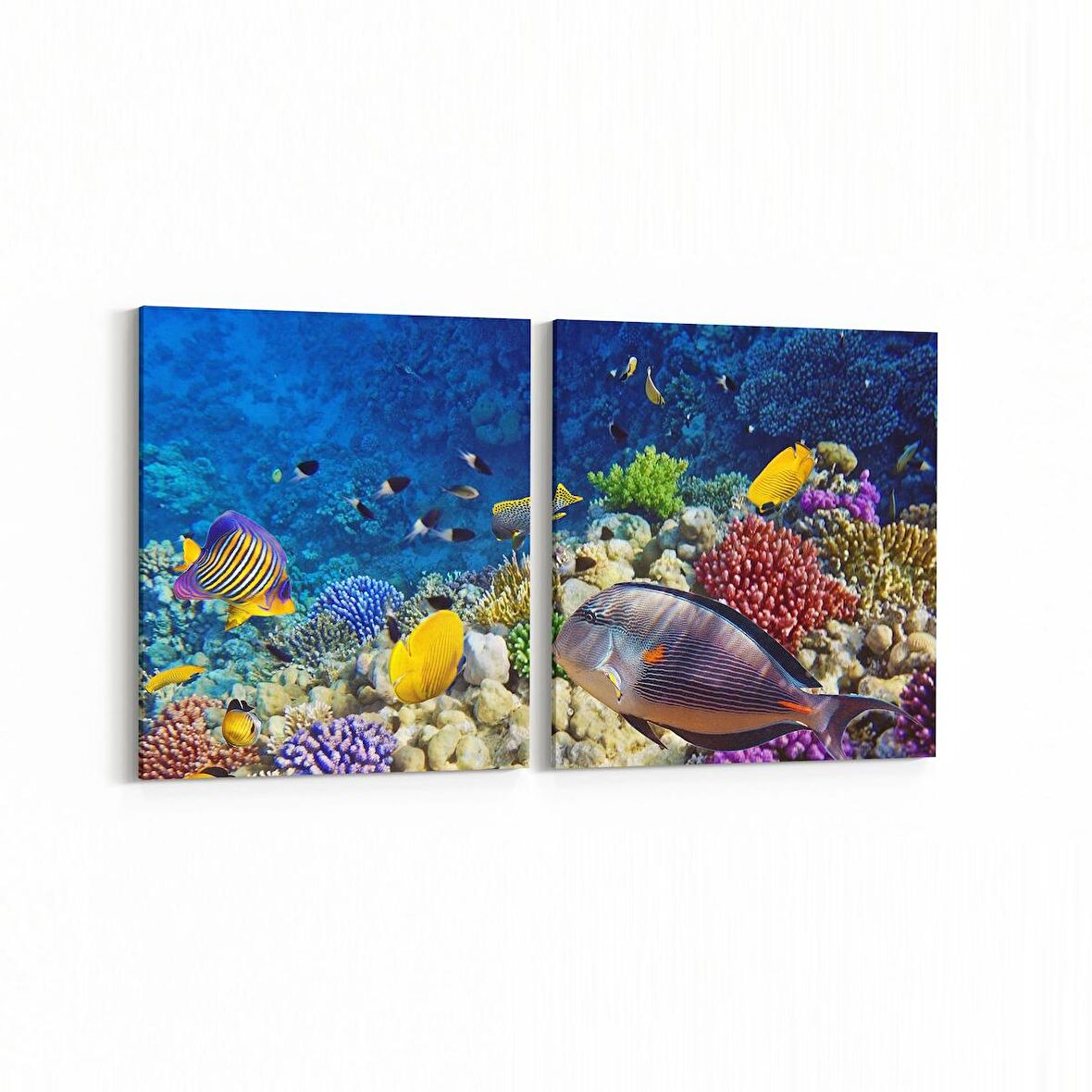 Olla 12065K2Y Akvaryum / Balık Görseli Kare 2'li Yatay Kanvas Tablo (Ölçü: 125X60)