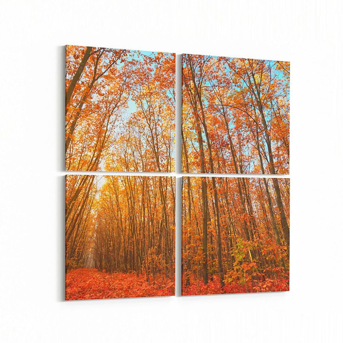 Olla 13239K4 Doğa / Manzara Görseli Kare 4'lü Kanvas Tablo (Ölçü: 125X125)