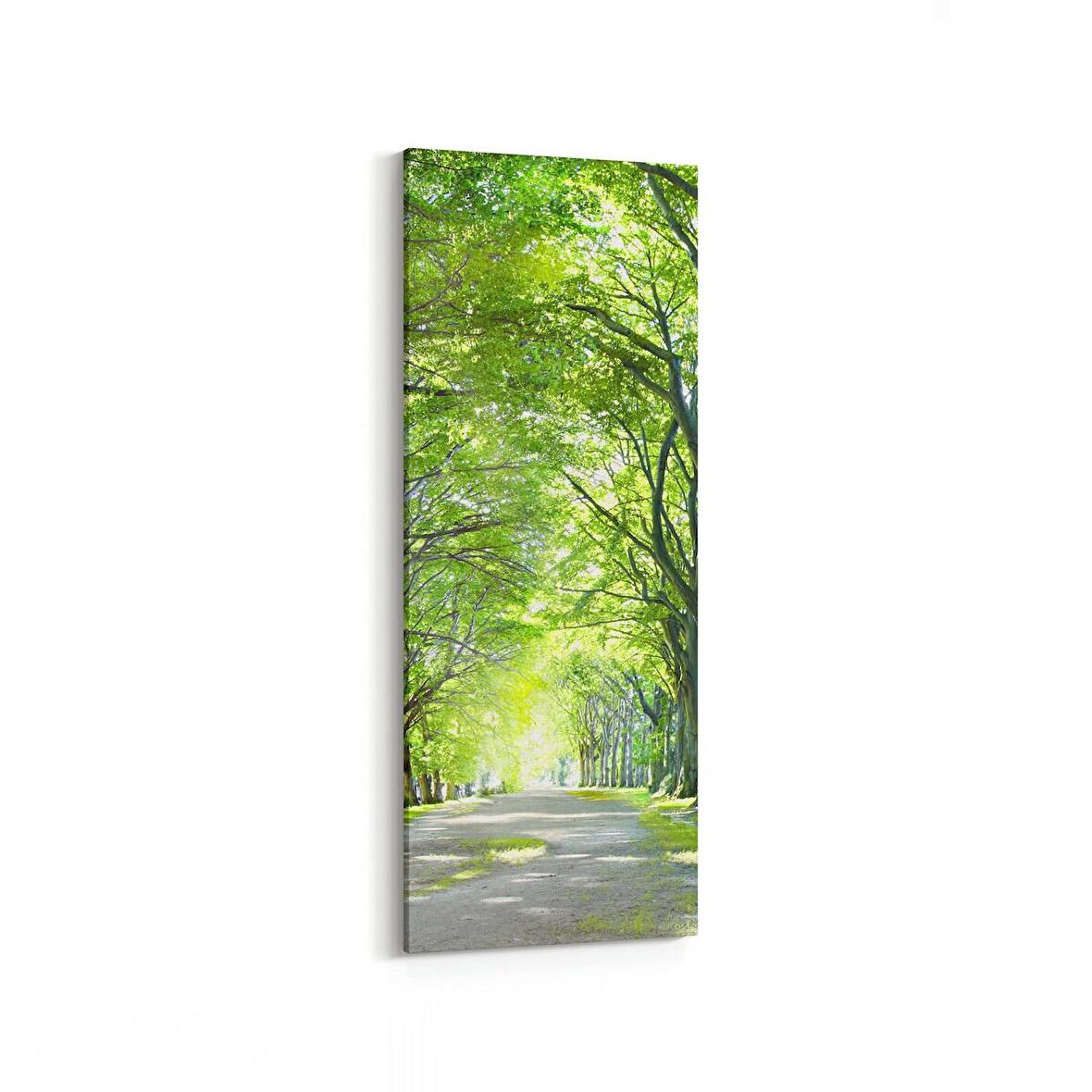 Olla 13234DI Doğa / Manzara Görseli Dikey İnce Kanvas Tablo (Ölçü: 30X90)