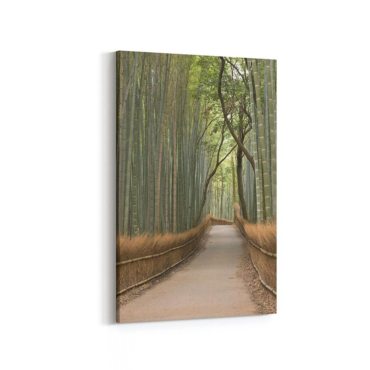 Olla 14401D Doğa / Manzara Görseli Dikey Kanvas Tablo (Ölçü: 60X90)