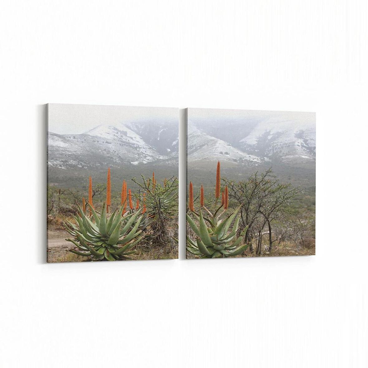 Olla 14220K2Y Doğa / Manzara Görseli Kare 2'li Yatay Kanvas Tablo (Ölçü: 105X50)