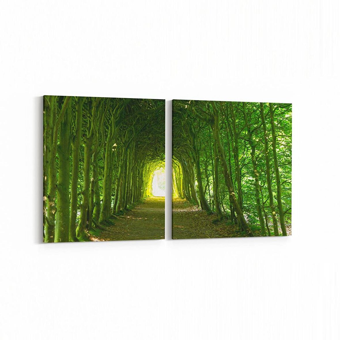 Olla 13688K2Y Doğa / Manzara Görseli Kare 2'li Yatay Kanvas Tablo (Ölçü: 125X60)