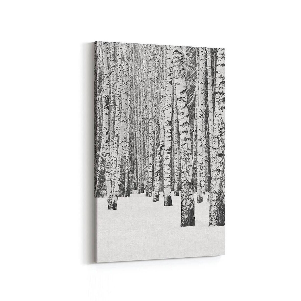 Olla 13317D Doğa / Manzara Görseli Dikey Kanvas Tablo (Ölçü: 100X150)