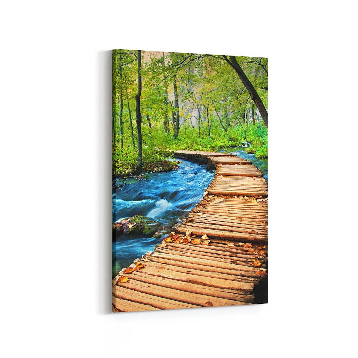 Olla 13325D Doğa / Manzara Görseli Dikey Kanvas Tablo (Ölçü: 60X90)