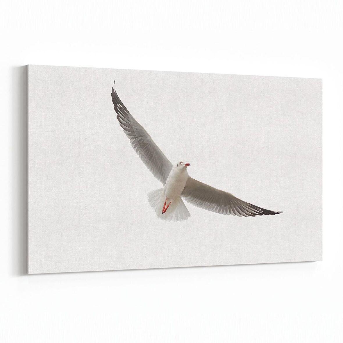 Olla 12639Y Hayvanlar Alemi Görseli Yatay Kanvas Tablo (Ölçü: 70X50)