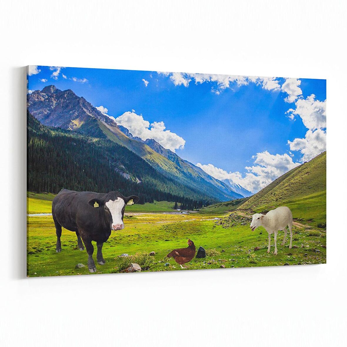 Olla 12626Y Hayvanlar Alemi Görseli Yatay Kanvas Tablo (Ölçü: 150X100)