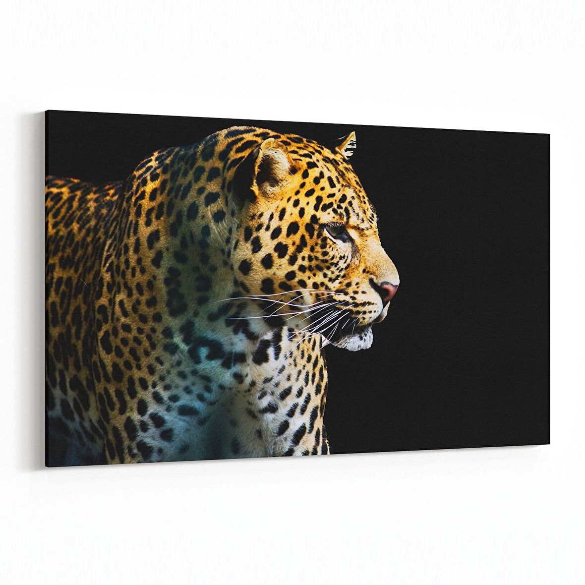 Olla 12602Y Hayvanlar Alemi Görseli Yatay Kanvas Tablo (Ölçü: 45X30)