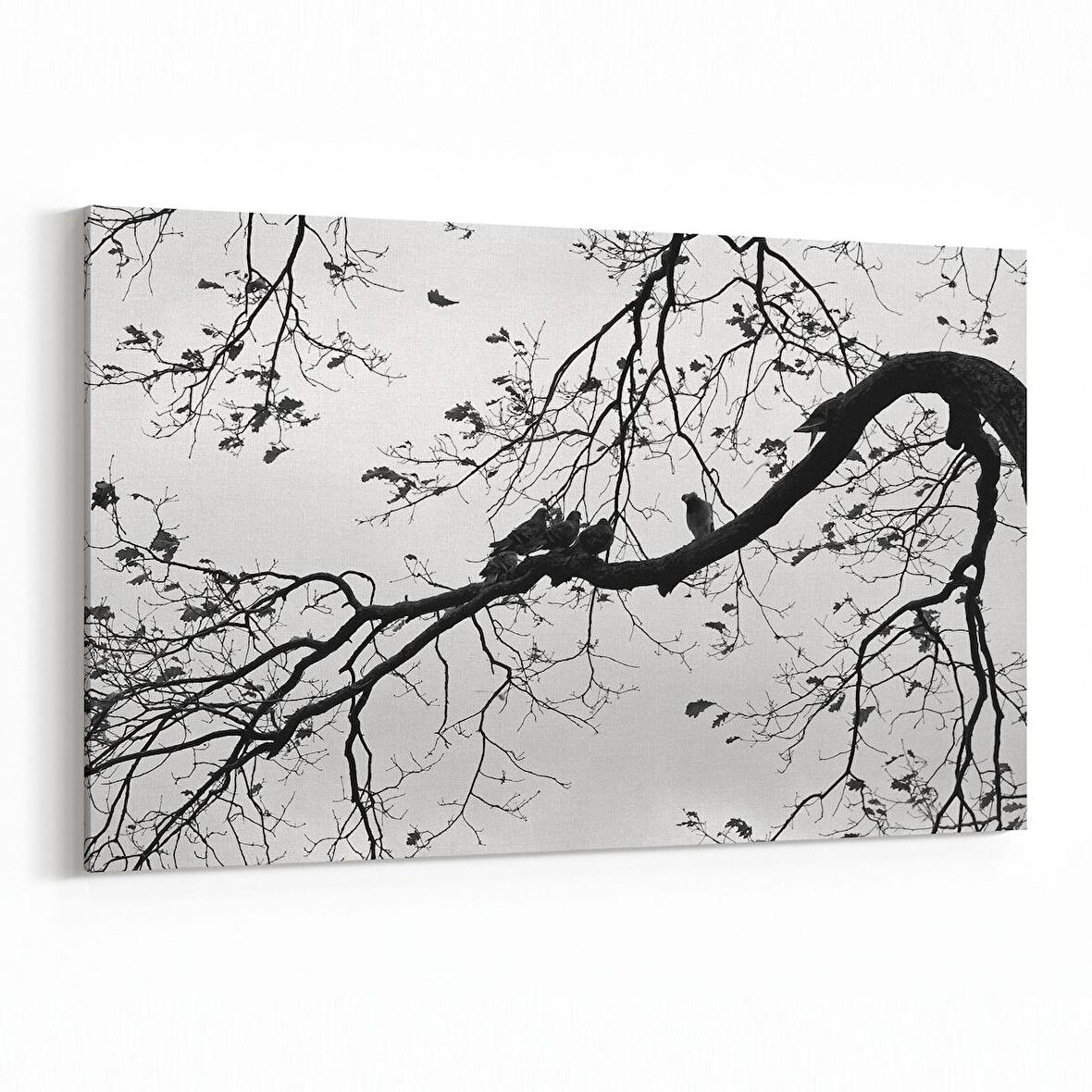 Olla 11037Y Ağaç Görseli Yatay Kanvas Tablo (Ölçü: 150X100)