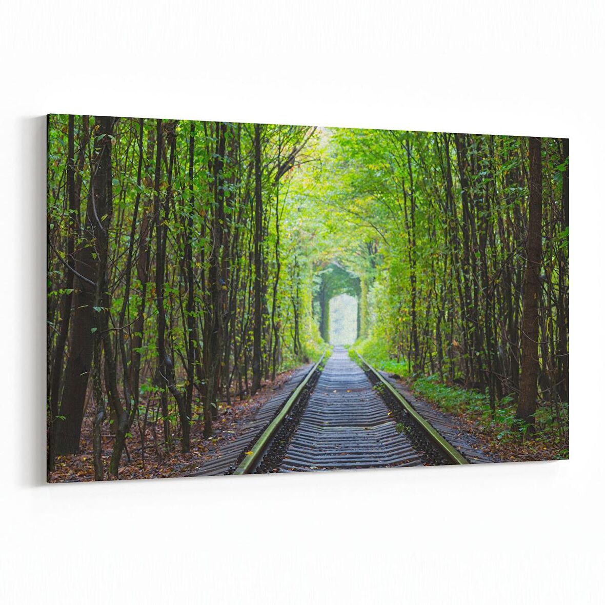 Olla 13902Y Doğa / Manzara Görseli Yatay Kanvas Tablo (Ölçü: 70X50)