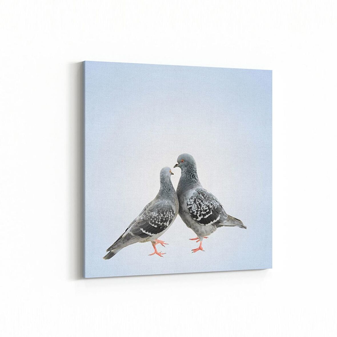 Olla 12521K Hayvanlar Alemi Görseli Kare Kanvas Tablo (Ölçü: 100X100)