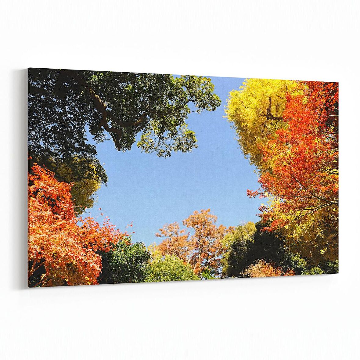 Olla 10923Y Ağaç Görseli Yatay Kanvas Tablo (Ölçü: 45X30)