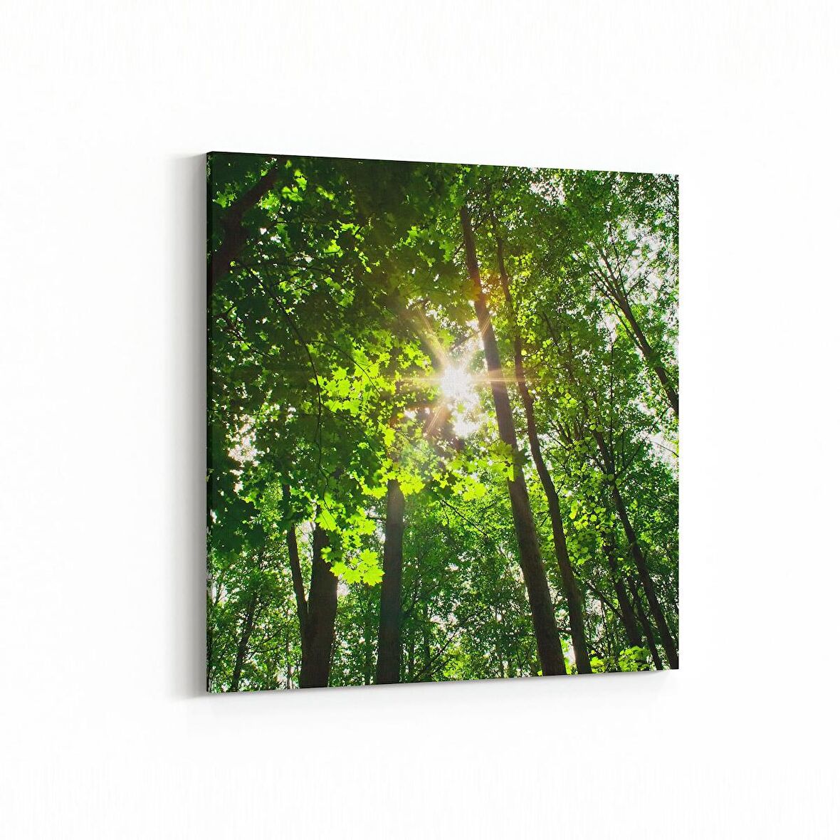 Olla 13710K Doğa / Manzara Görseli Kare Kanvas Tablo (Ölçü: 25X25)