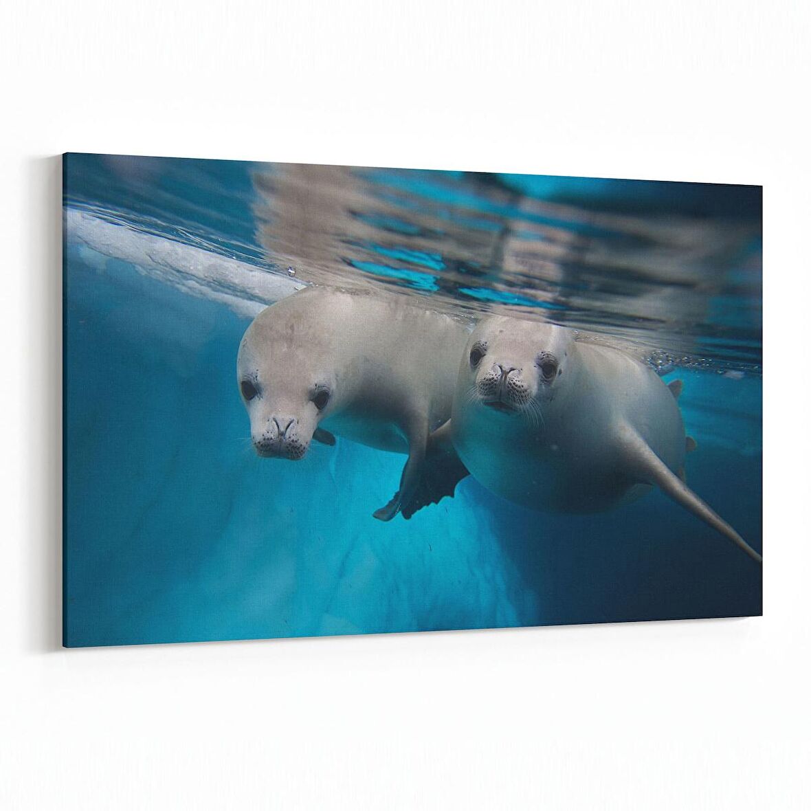 Olla 13035Y Deniz / Okyanus Görseli Yatay Kanvas Tablo (Ölçü: 45X30)