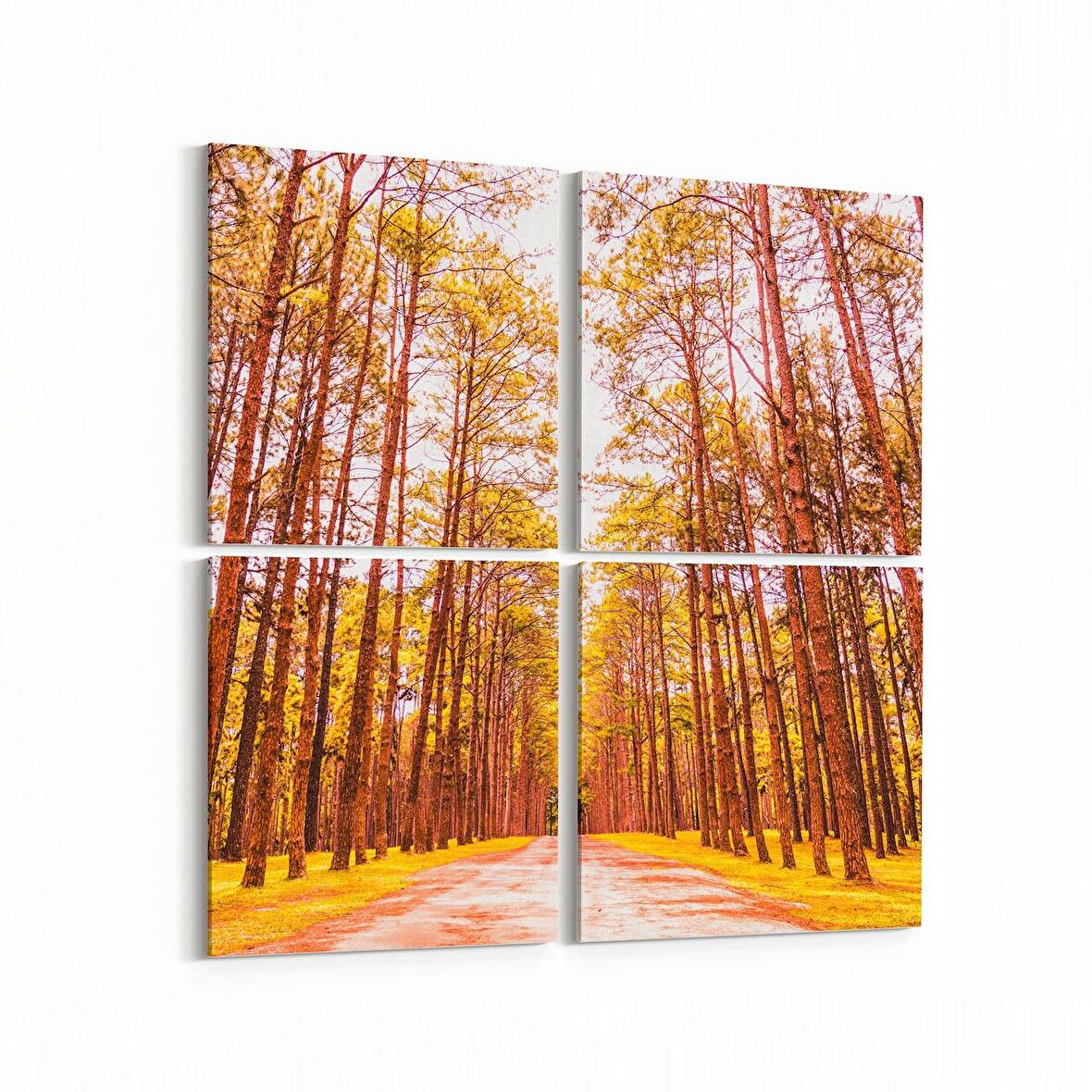 Olla 14101K4 Doğa / Manzara Görseli Kare 4'lü Kanvas Tablo (Ölçü: 65X65)