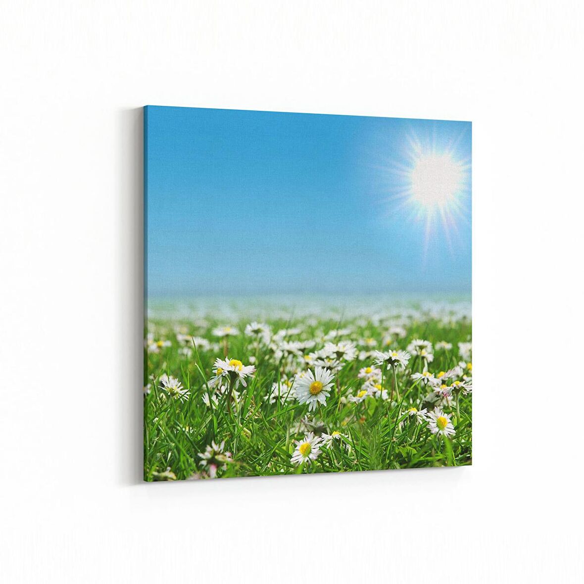 Olla 14585K Doğa / Manzara Görseli Kare Kanvas Tablo (Ölçü: 25X25)