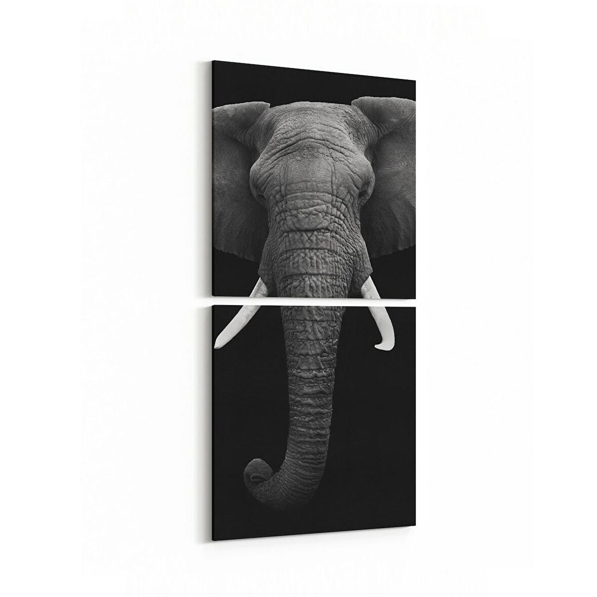 Olla 12508K2D Hayvanlar Alemi Görseli Kare 2'li Dikey Kanvas Tablo (Ölçü: 30X65)