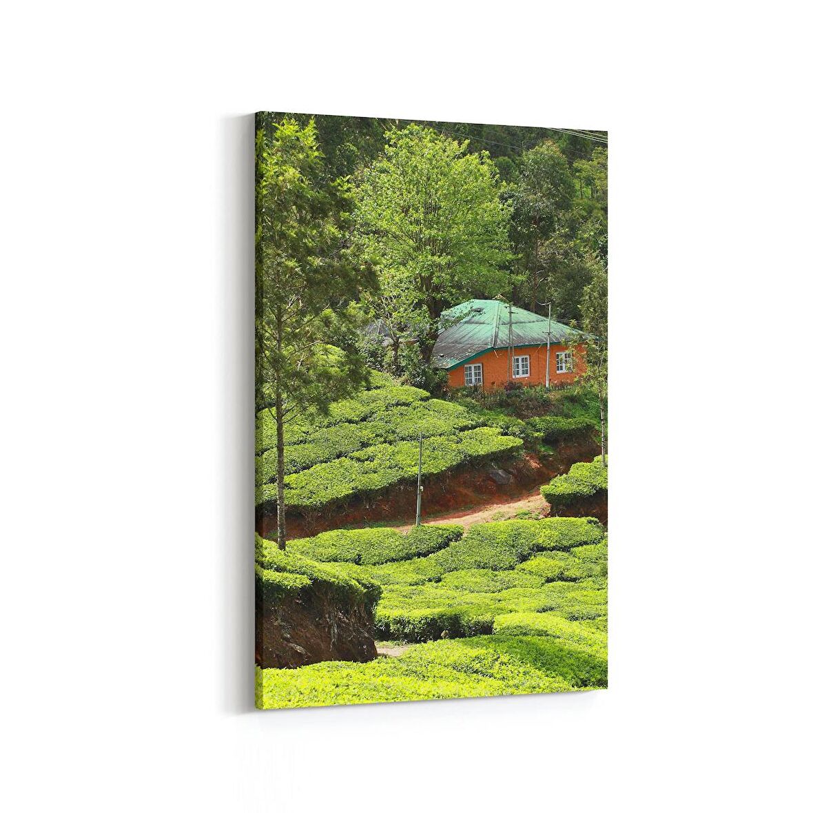 Olla 13341D Doğa / Manzara Görseli Dikey Kanvas Tablo (Ölçü: 80X120)