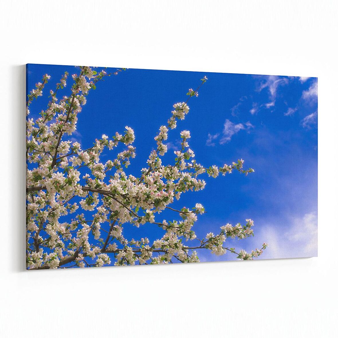 Olla 10801Y Ağaç Görseli Yatay Kanvas Tablo (Ölçü: 120X80)